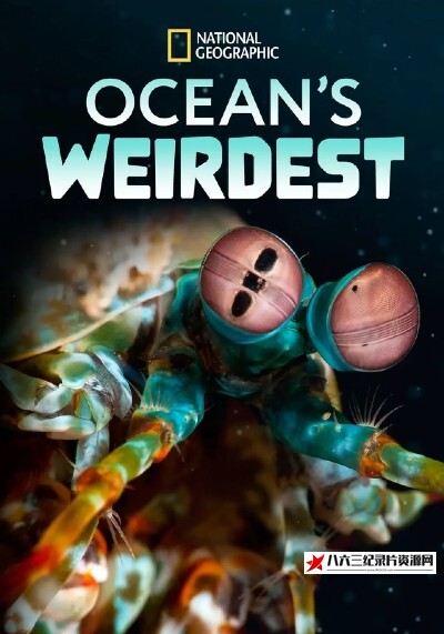 美国纪录片《海洋异物志 Ocean's Weirdest》高清下载-八六三纪录片资源网