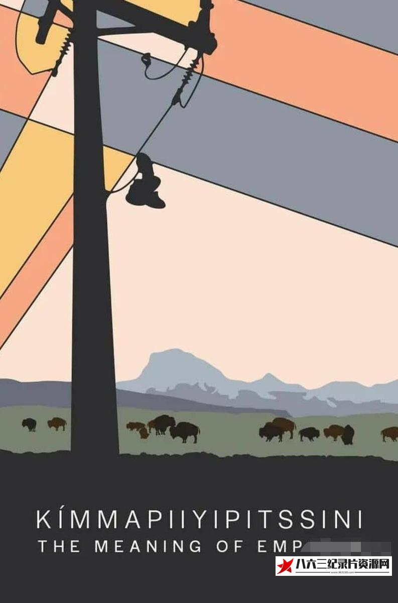 加拿大纪录片《同理心的意义 Kímmapiiyipitssini: The Meaning of Empathy》高清下载-八六三纪录片资源网