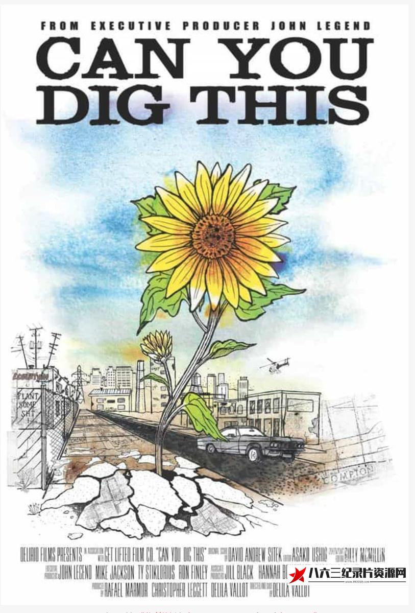 你能挖这个吗 Can You Dig This的海报