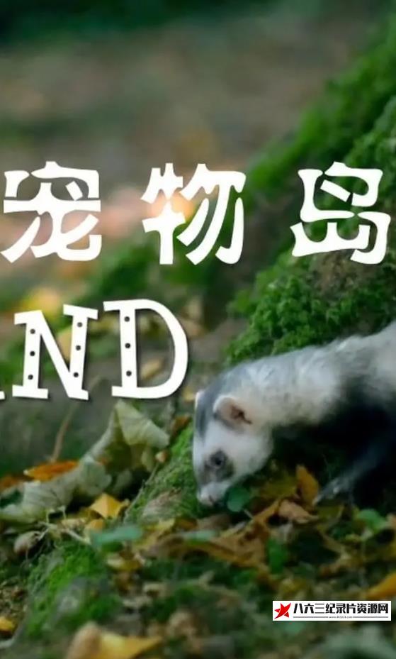 英国纪录片《宠物岛 Pet Island》高清下载-八六三纪录片资源网