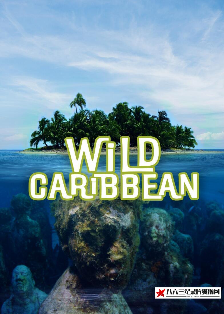 德国，奥地利纪录片《野生加勒比 Wild Caribbean - Rhythms of Life》高清下载-八六三纪录片资源网
