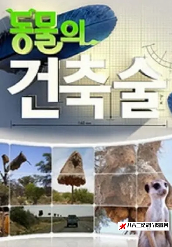 动物建筑师 Animal Builders的海报