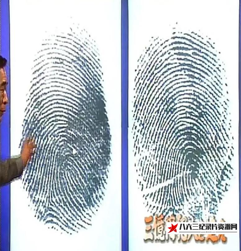 日本纪录片《追踪三亿日元劫犯-指纹鉴识人员执着的调查 三僟円犯人を追え ～鑑識課指紋係•執念の大捜査～》高清下载-八六三纪录片资源网