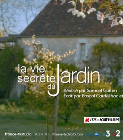 菜园里的秘密 The Secret Life of the Garden的海报