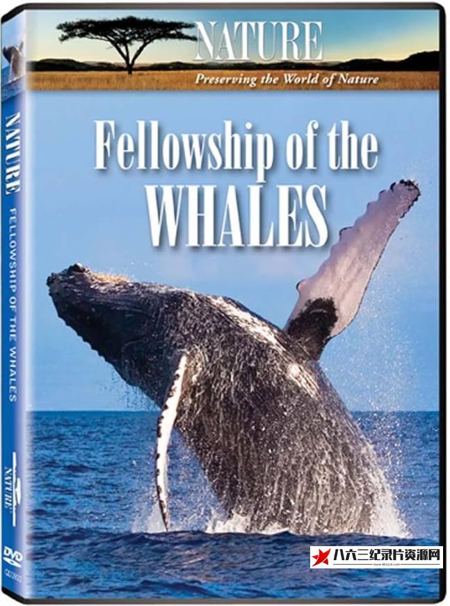 美国纪录片《鲸之友谊 Fellowship of the Whales》高清下载-八六三纪录片资源网