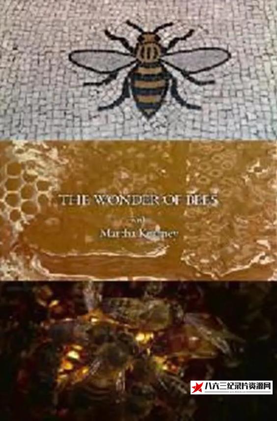 英国纪录片《玛莎·卡妮领略神奇的蜜蜂 The Wonder of Bees with Martha Kearney》高清下载-八六三纪录片资源网