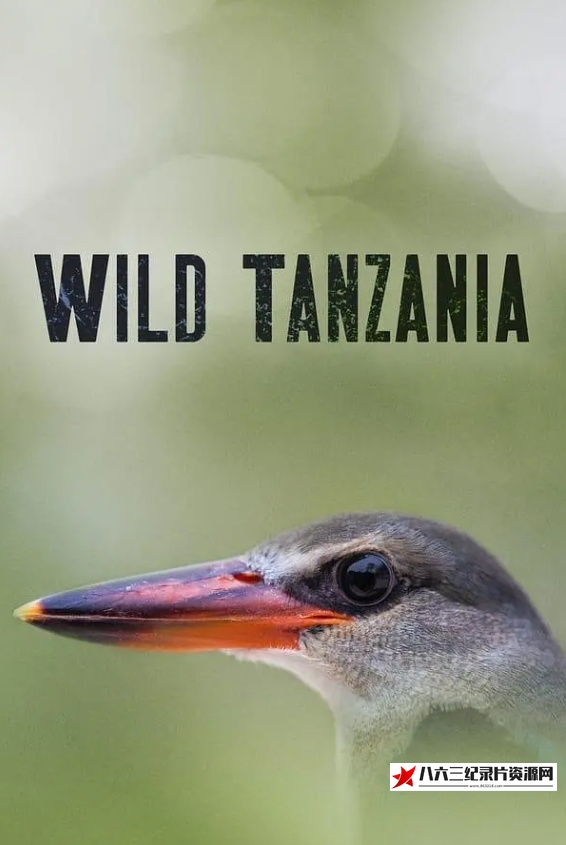 美国纪录片《狂野坦桑尼亚 第一季 Wild Tanzania Season 1》高清下载-八六三纪录片资源网