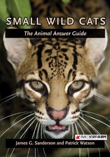 美国纪录片《野生猫科动物 Wild Cats》高清下载-八六三纪录片资源网