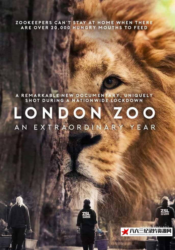 英国纪录片《伦敦动物园：非凡的一年 London Zoo: An Extraordinary Year》高清下载-八六三纪录片资源网