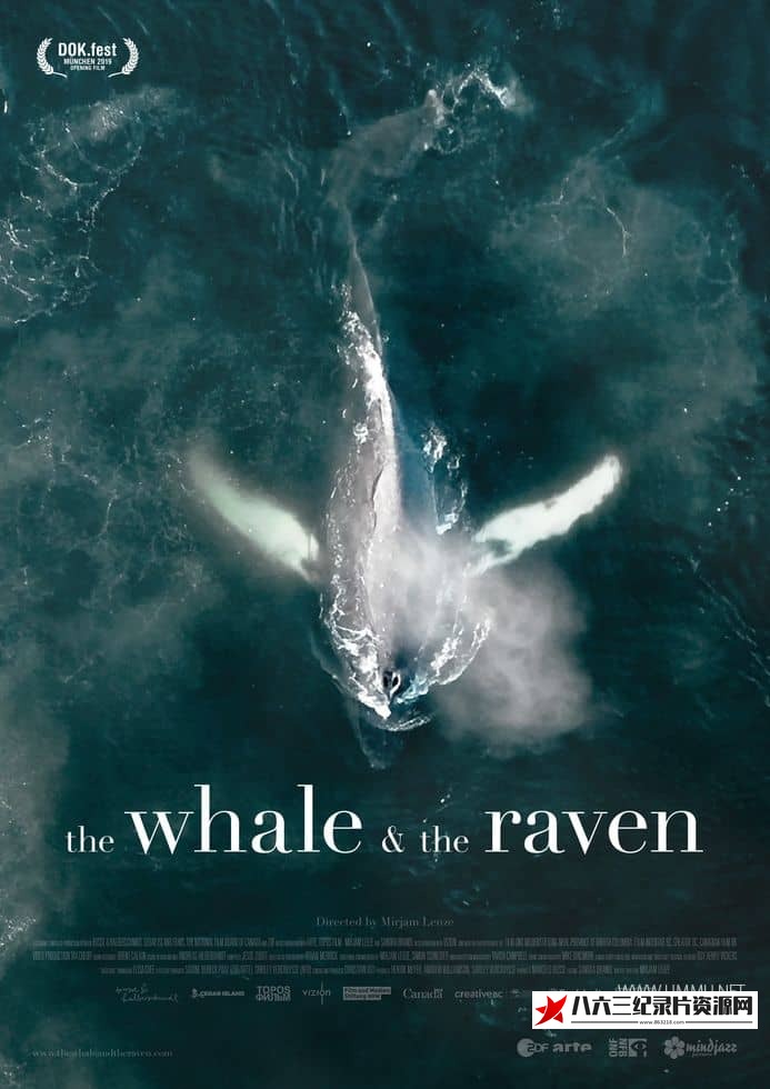 德国纪录片《鲸鱼和乌鸦 The Whale and the Raven》高清下载-八六三纪录片资源网