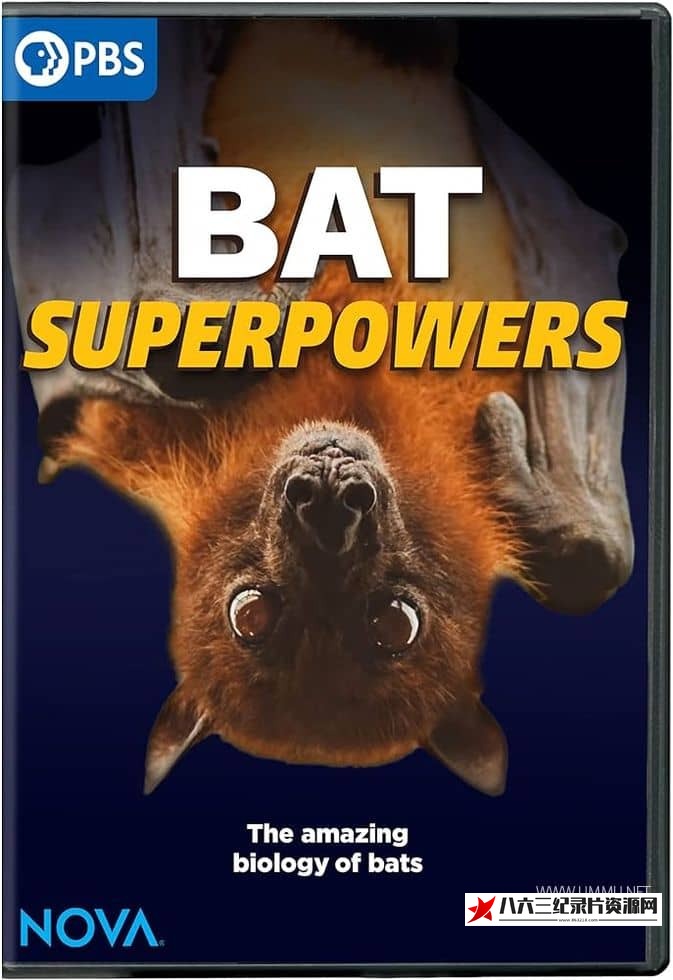 美国纪录片《蝙蝠超能力 Bat Superpowers》高清下载-八六三纪录片资源网