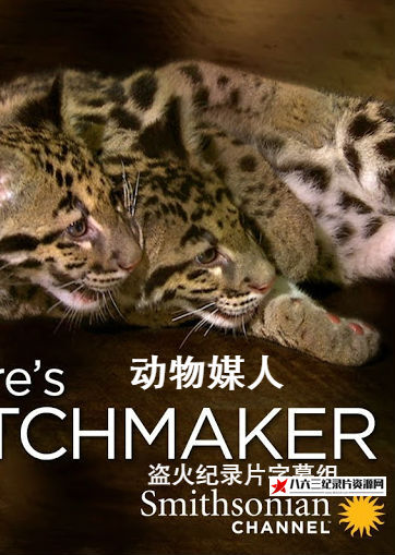 美国纪录片《动物媒人 Nature's.Matchmaker》高清下载-八六三纪录片资源网