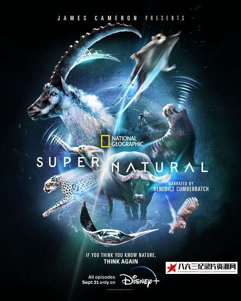 超/自然 Super/Natural的海报