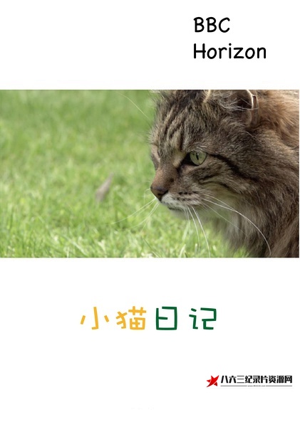 英国纪录片《小猫日记 Little Cat Diaries》高清下载-八六三纪录片资源网