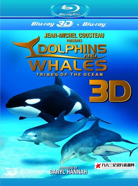 美国纪录片《海豚和鲸鱼 3D Dolphins & Whales Tribes of the Ocean 3》高清下载-八六三纪录片资源网