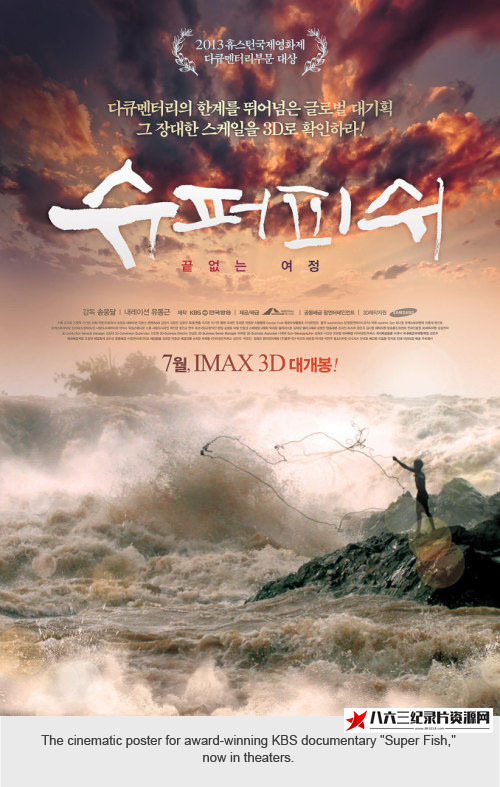 超级鱼 Super Fish的海报