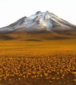 美国纪录片《未曾发现的美景:智利 未曾发现的美景:智利》高清下载-八六三纪录片资源网