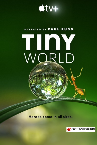 美国纪录片《小小世界 第1-2季 Tiny World Season 1-2》高清下载-八六三纪录片资源网