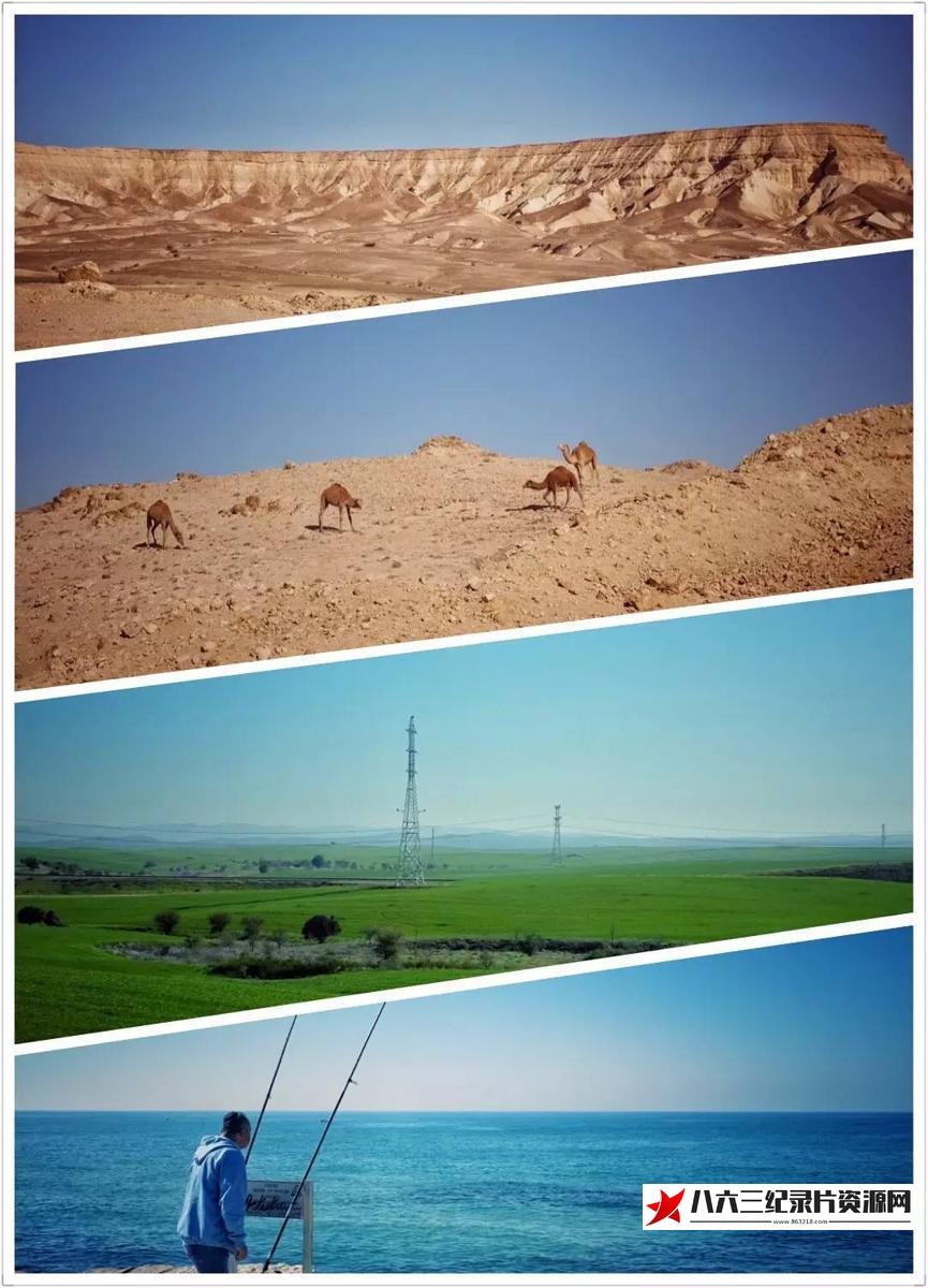 美国纪录片《最后的地中海森林 Wild Med》高清下载-八六三纪录片资源网