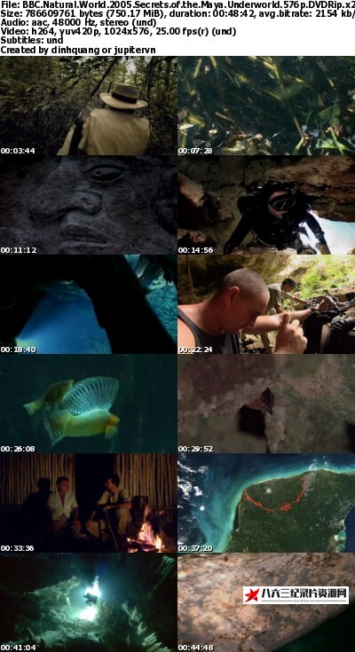 英国纪录片《玛雅地下世界之谜 Natural World: Secrets of the Maya Underworld》高清下载-八六三纪录片资源网