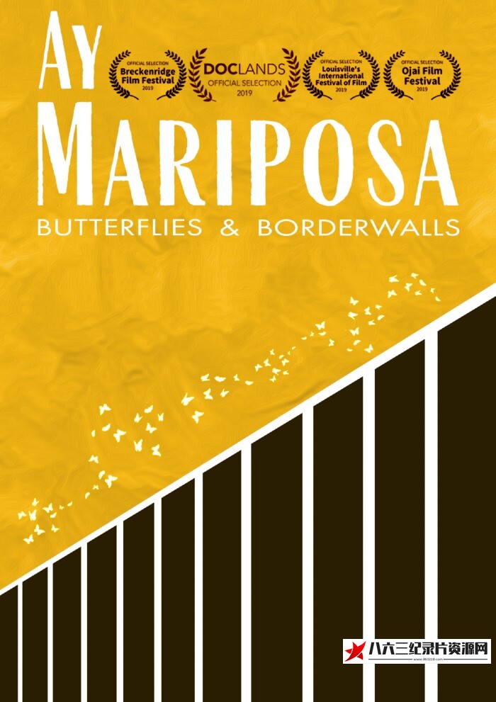 蝴蝶的隐秘世界 Mariposas的海报