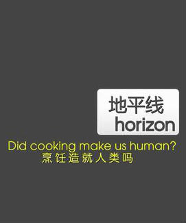 英国纪录片《烹饪造就人类吗 Did Cooking Make Us Human》高清下载-八六三纪录片资源网