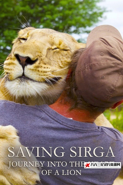美国纪录片《拯救希尔加:走进狮子内心的旅程 Saving Sirga》高清下载-八六三纪录片资源网