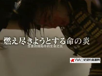 中国台湾纪录片《堂本光一 一切为了舞台，极致的演出 堂本光一 すべてはステージのために》高清下载-八六三纪录片资源网