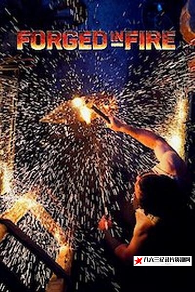 美国纪录片《锻刀大赛 第四季 Forged in Fire Season 4》高清下载-八六三纪录片资源网
