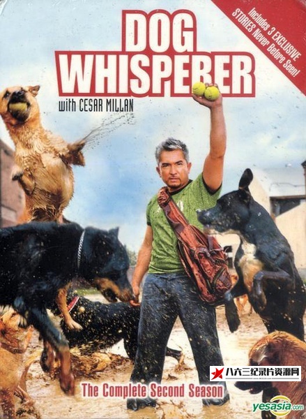 美国纪录片《狗语者 精选 Dog Whisperer with Cesar Millan》高清下载-八六三纪录片资源网