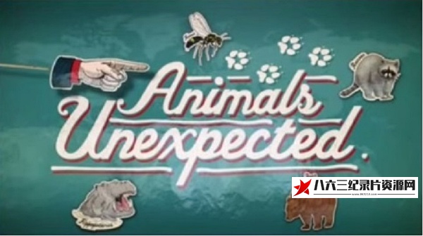 英国纪录片《不期而至的动物 Animals Unexpected》高清下载-八六三纪录片资源网