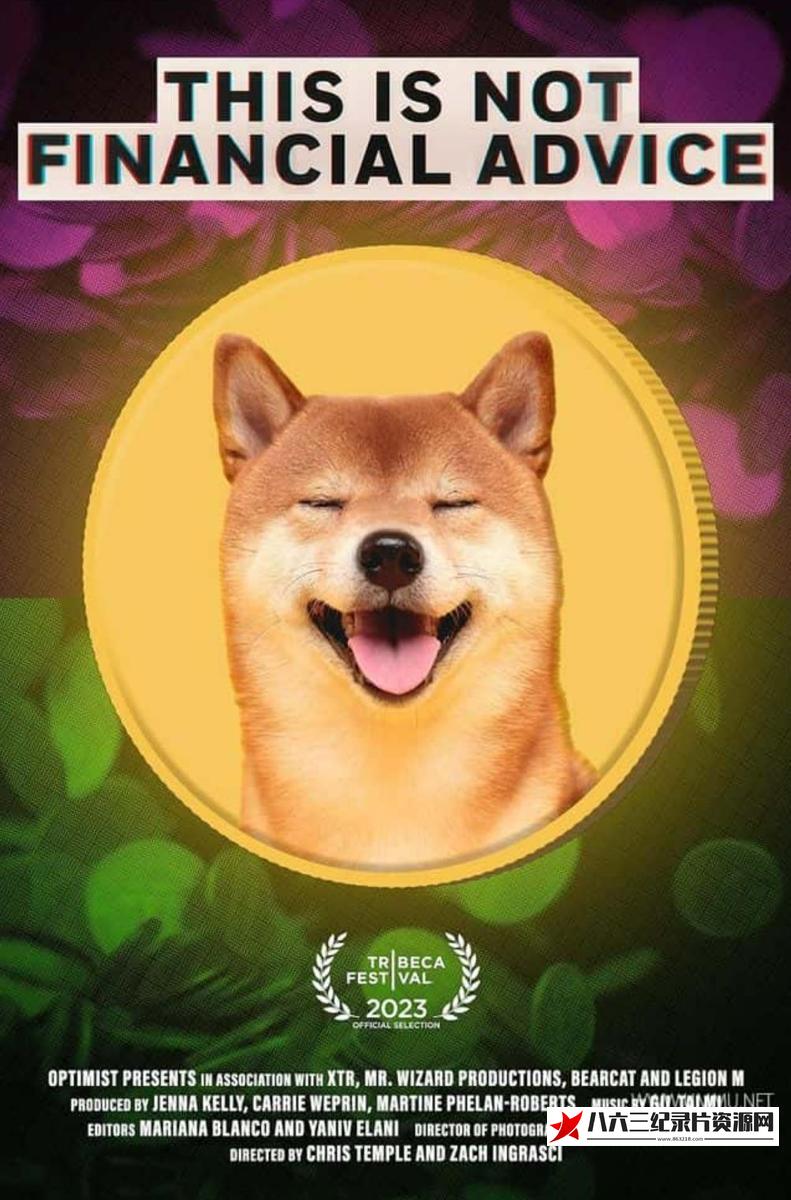 美国纪录片《这不是财务建议 This is Not Financial Advice》高清下载-八六三纪录片资源网