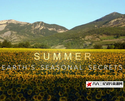英国纪录片《夏季——四季的秘密 Summer Earth's seasional Secrets》高清下载-八六三纪录片资源网