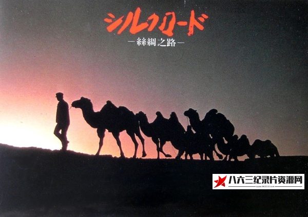 日本纪录片《新丝绸之路 NHK版 新シルクロード》高清下载-八六三纪录片资源网
