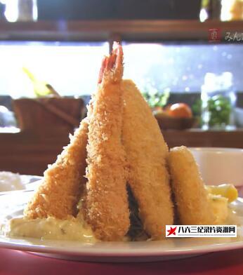 日本纪录片《人见人爱的日式西餐 人见人爱的日式西餐》高清下载-八六三纪录片资源网