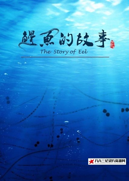 中国大陆纪录片《鳗鱼的故事  The Story of Eel》高清下载-八六三纪录片资源网