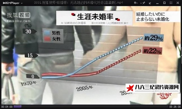 结婚难-无法阻止的未婚化社会 “結婚の壁”~止まらない未婚化社会~的海报