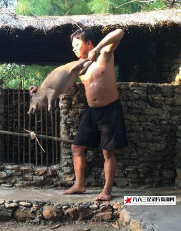 越南纪录片《原始生活 Primitive Life》高清下载-八六三纪录片资源网