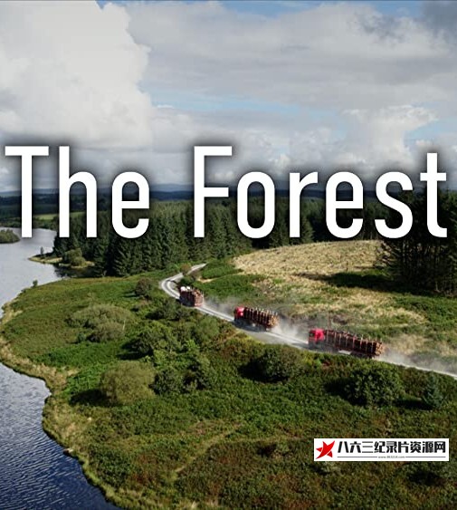 英国纪录片《森林 The Forest / 森林隐秘世界》高清下载-八六三纪录片资源网