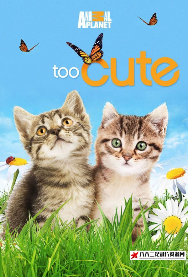 美国纪录片《萌宠成长记 全6季 Too Cute》高清下载-八六三纪录片资源网