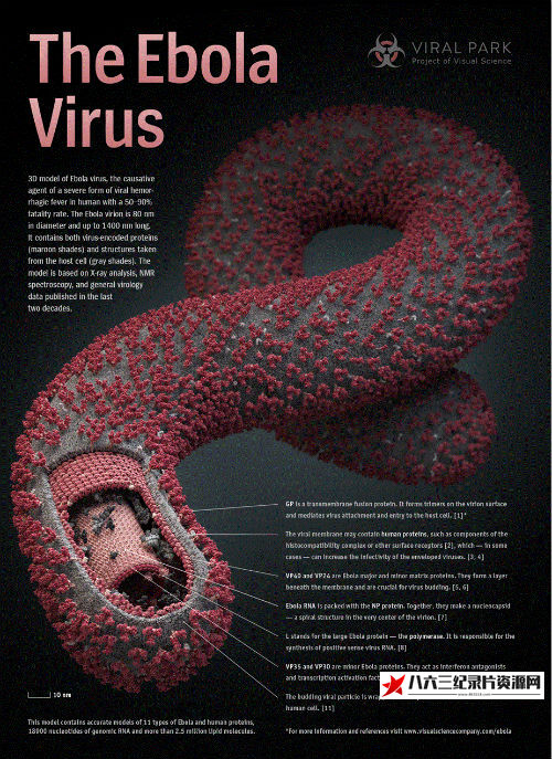 美国纪录片《瘟疫抗战 对抗埃博拉 The Fight Against Ebola》高清下载-八六三纪录片资源网