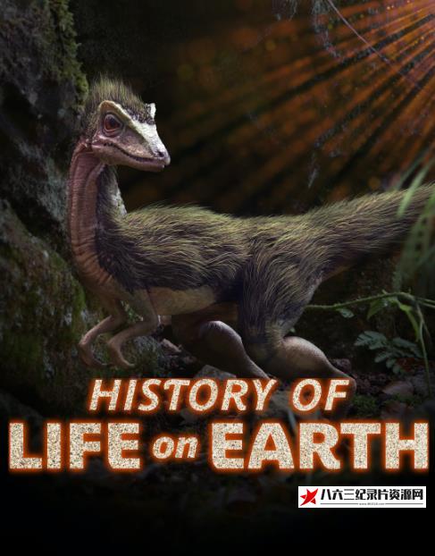 美国纪录片《地球生命史 History Of Life On Earth》高清下载-八六三纪录片资源网
