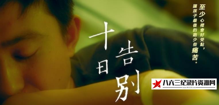十日告别的海报