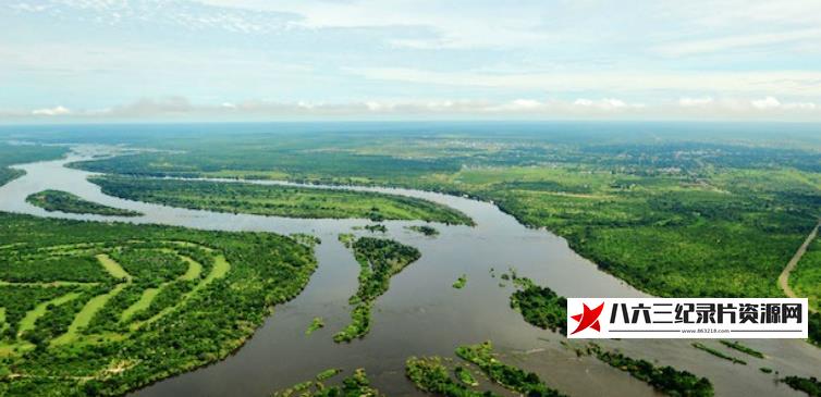 赞比西河 Zambezi的海报