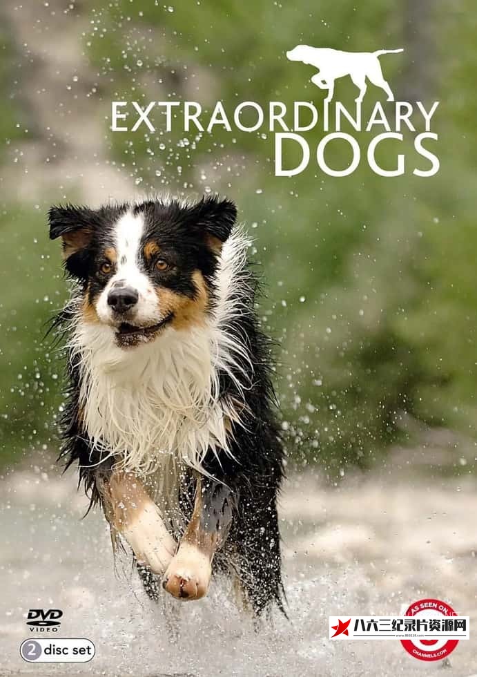 英国纪录片《非凡的狗儿 Extraordinary Dogs》高清下载-八六三纪录片资源网