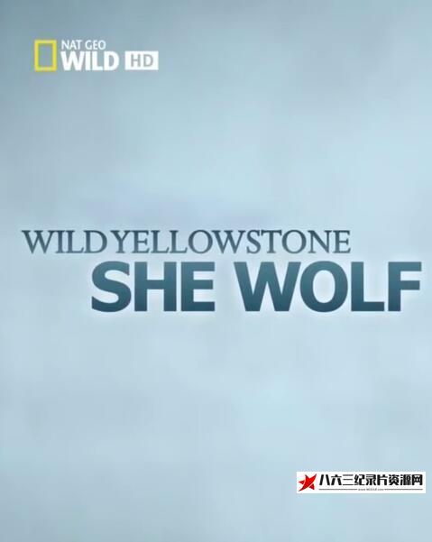 美国纪录片《黄石公园的母狼王 Wild Yellowstone: She Wolf》高清下载-八六三纪录片资源网