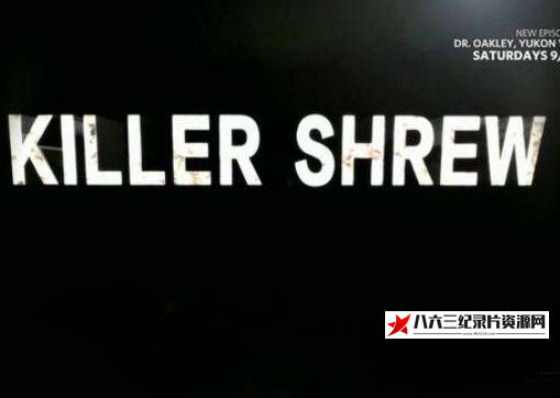 美国纪录片《荒野杀手-鼩鼱 Wild-Killer.Shrew》高清下载-八六三纪录片资源网