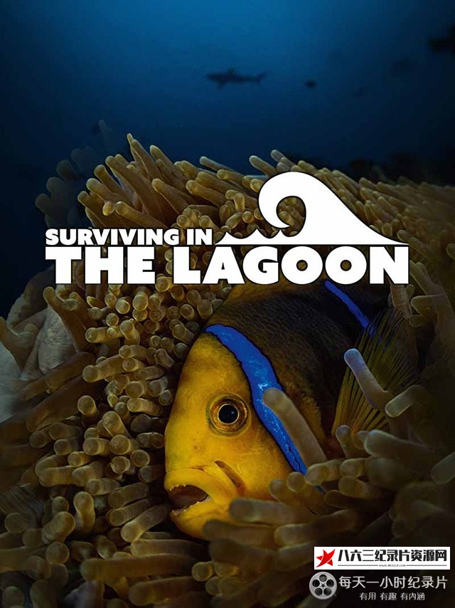法国纪录片《潟湖生命之旅 Surviving in the Lagoon》高清下载-八六三纪录片资源网