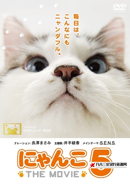 日本纪录片《猫咪物语5 THE MOVIE 5》高清下载-八六三纪录片资源网