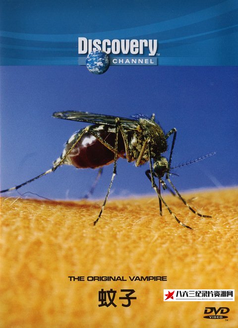 蚊子 The Original Vampire的海报